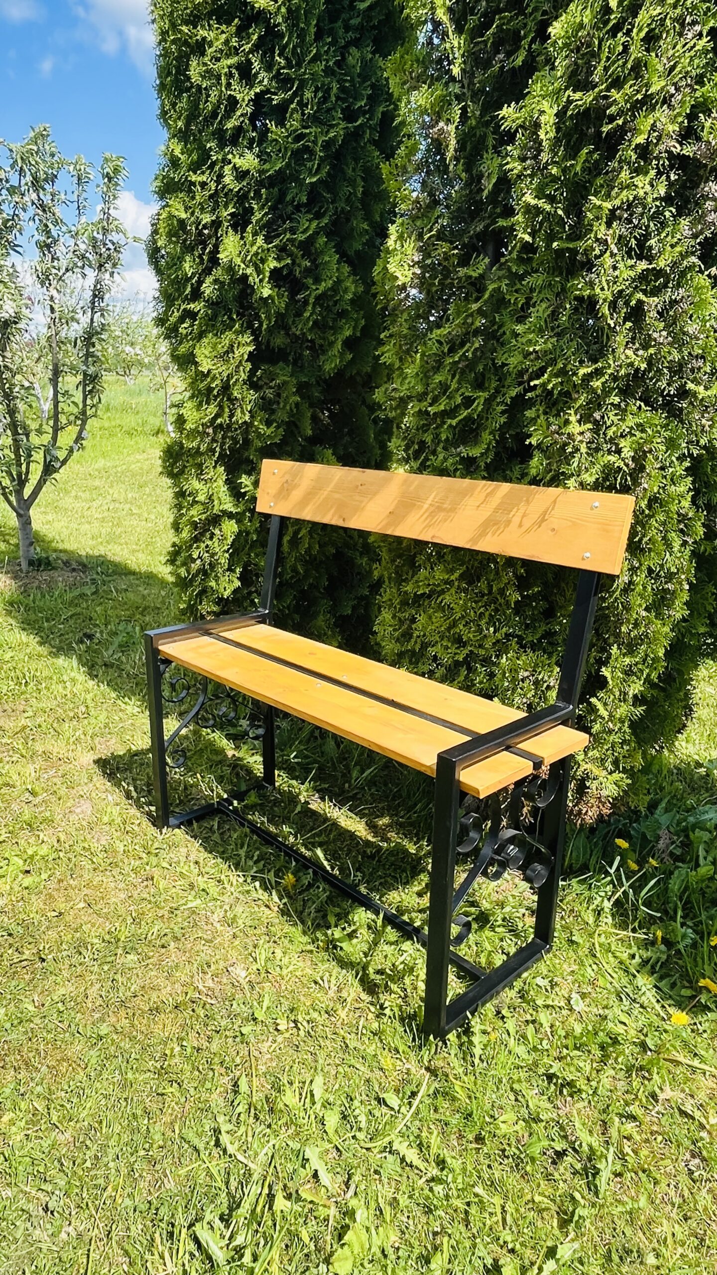Bench with backrest - Image 2