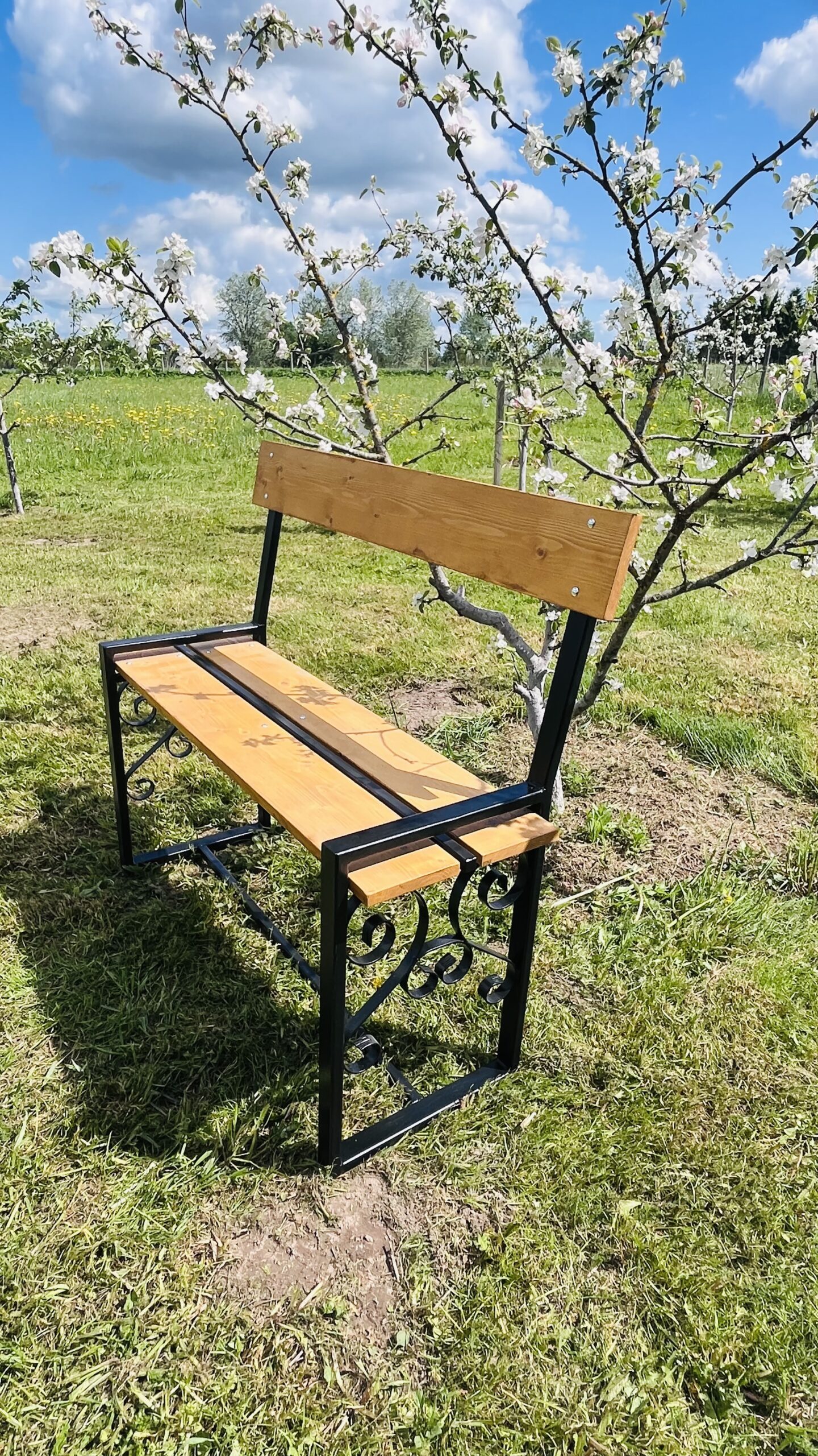 Bench with backrest - Image 6